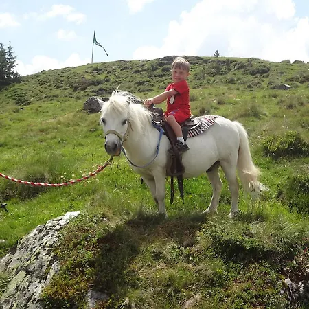 Vakantieboerderij Pfeifferhof Mariapfarr