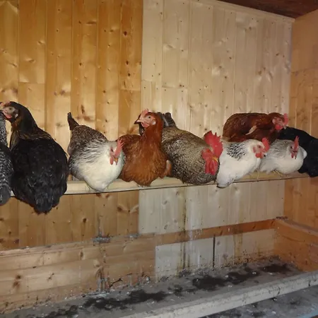 Pfeifferhof Mariapfarr