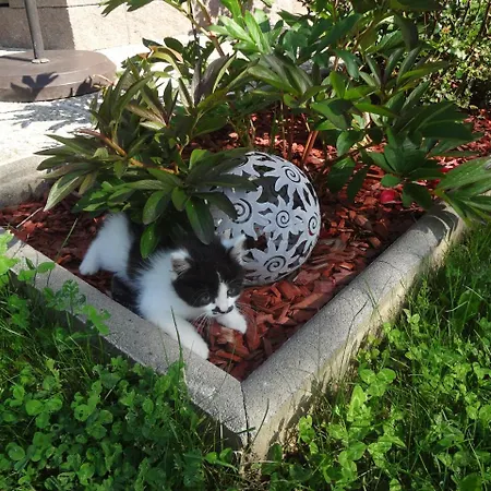 Vakantieboerderij Pfeifferhof