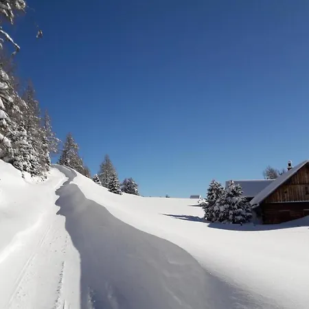 Farmház Pfeifferhof *
