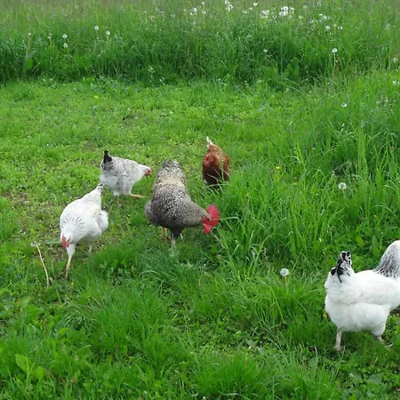 Pfeifferhof Mariapfarr