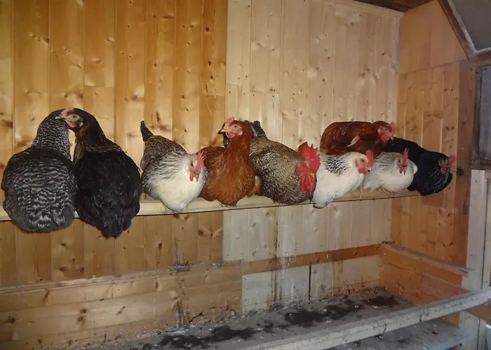 Pfeifferhof Mariapfarr