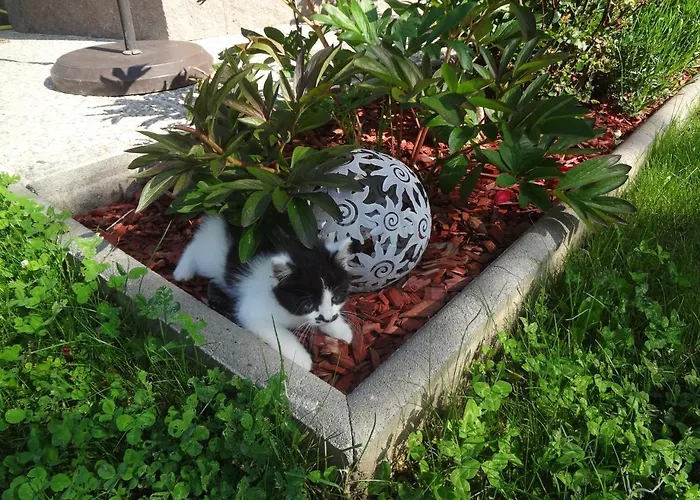 Фермерский дом Pfeifferhof