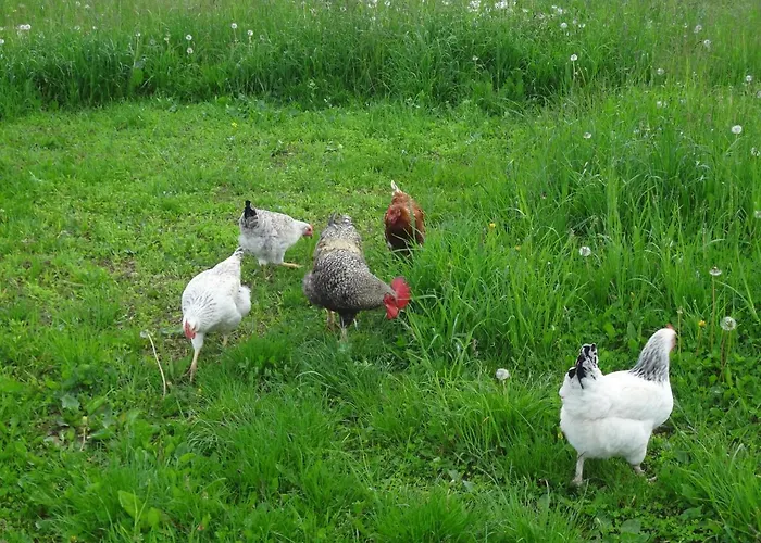 Pfeifferhof Mariapfarr